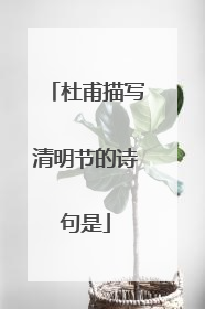 杜甫描写清明节的诗句是