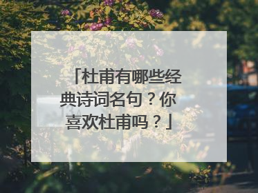 杜甫有哪些经典诗词名句？你喜欢杜甫吗？