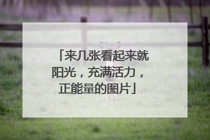 来几张看起来就阳光,充满活力,正能量的图片