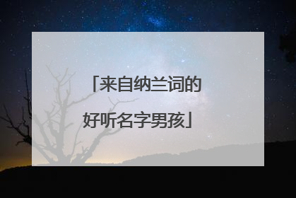 来自纳兰词的好听名字男孩