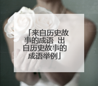 来自历史故事的成语 出自历史故事的成语举例