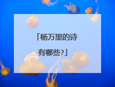 杨万里的诗有哪些?