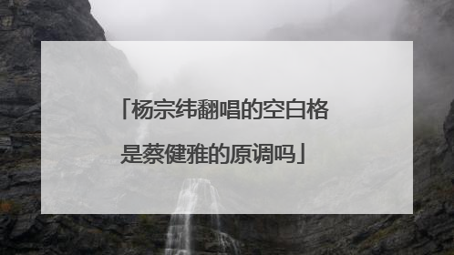 杨宗纬翻唱的空白格是蔡健雅的原调吗