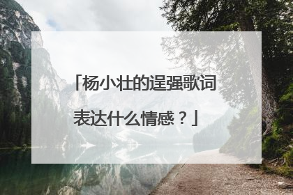 杨小壮的逞强歌词表达什么情感?