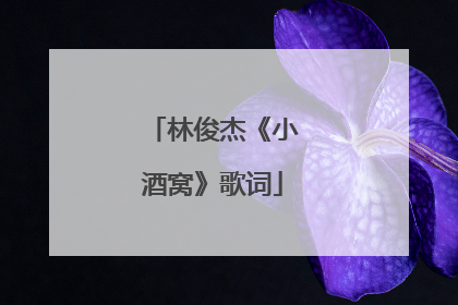 林俊杰《小酒窝》歌词