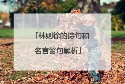 林则徐的诗句和名言警句解析