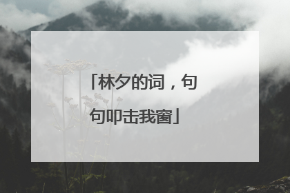 林夕的词,句句叩击我窗