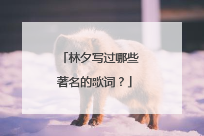 林夕写过哪些著名的歌词？