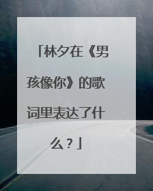 林夕在《男孩像你》的歌词里表达了什么?