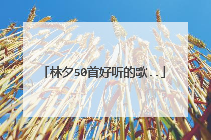 林夕50首好听的歌..