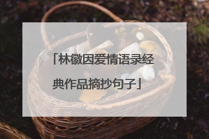 林徽因爱情语录经典作品摘抄句子