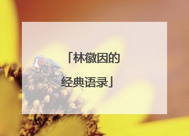 林徽因的经典语录