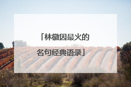 林徽因最火的名句经典语录