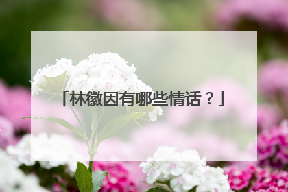林徽因有哪些情话？