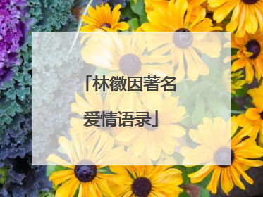 林徽因著名爱情语录