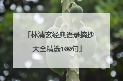 林清玄经典语录摘抄大全精选100句