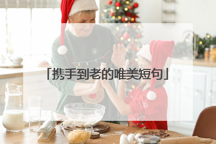 携手到老的唯美短句