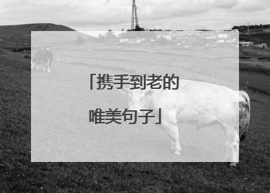 携手到老的唯美句子