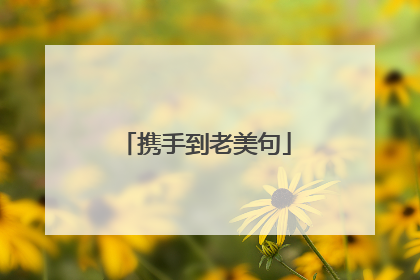 携手到老美句