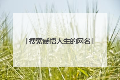 搜索感悟人生的网名