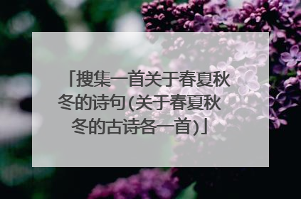 搜集一首关于春夏秋冬的诗句(关于春夏秋冬的古诗各一首)