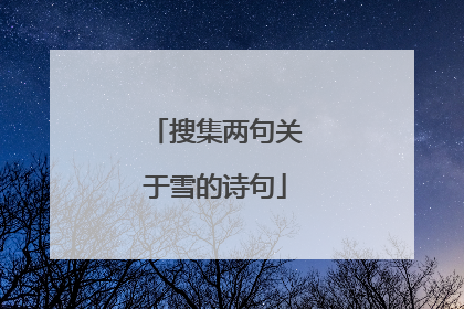 搜集两句关于雪的诗句