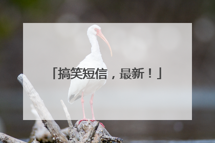 搞笑短信，最新！