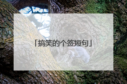 搞笑的个签短句