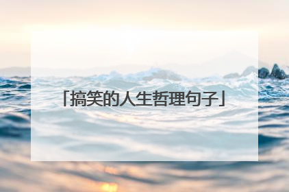 搞笑的人生哲理句子