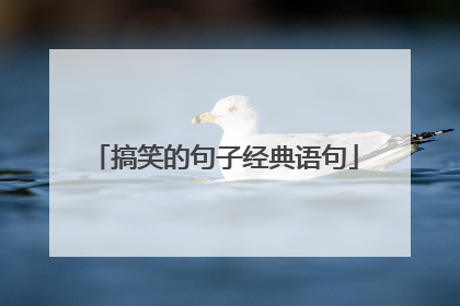 搞笑的句子经典语句