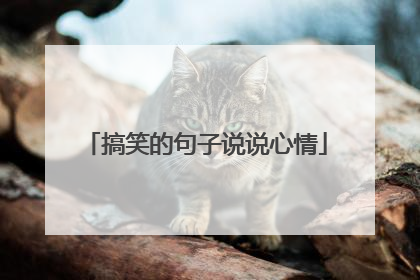 搞笑的句子说说心情