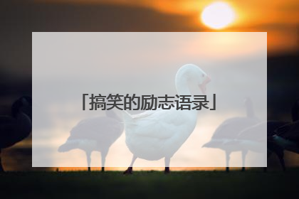 搞笑的励志语录