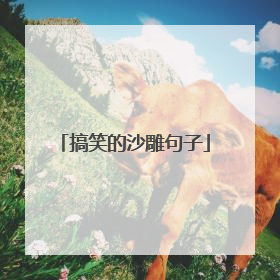 搞笑的沙雕句子