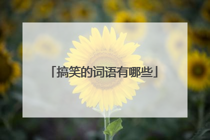 搞笑的词语有哪些