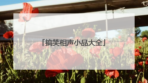 搞笑相声小品大全