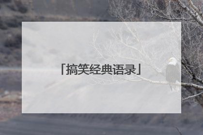 搞笑经典语录