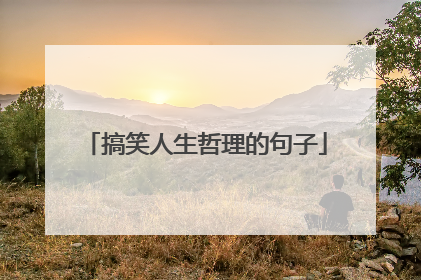 搞笑人生哲理的句子