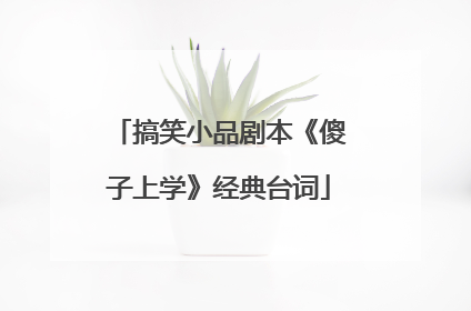 搞笑小品剧本《傻子上学》经典台词