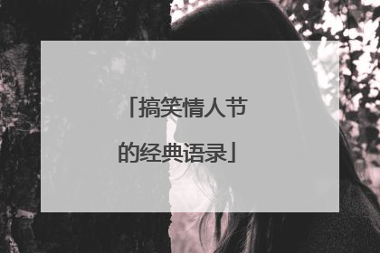 搞笑情人节的经典语录