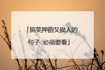 搞笑押韵又损人的句子 必须要看