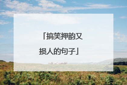 搞笑押韵又损人的句子