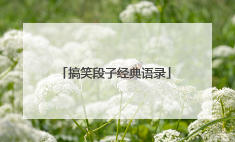 搞笑段子经典语录