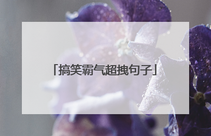 搞笑霸气超拽句子