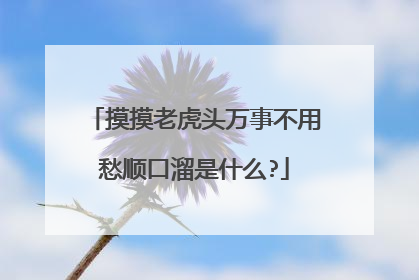 摸摸老虎头万事不用愁顺口溜是什么?