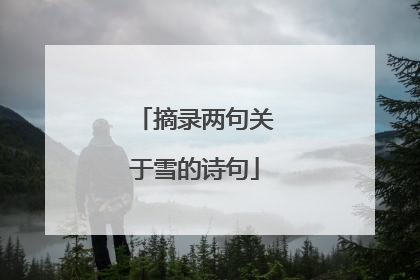 摘录两句关于雪的诗句