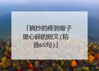 摘抄的疼到骨子里心碎的短文(精选65句)