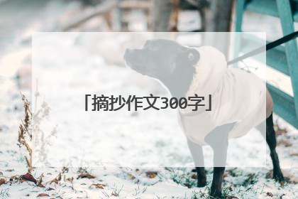摘抄作文300字