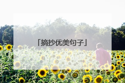 摘抄优美句子