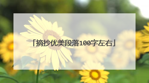 摘抄优美段落100字左右