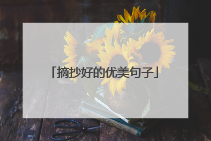 摘抄好的优美句子